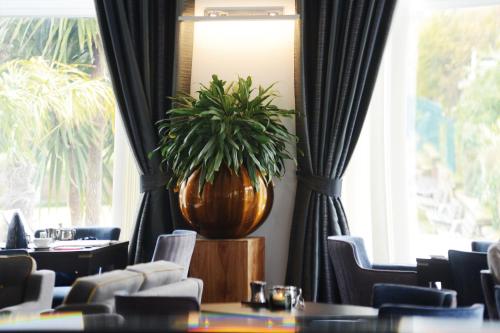 a restaurant with a potted plant in a room with chairs at Belgrave Sands Hotel & Spa in Torquay