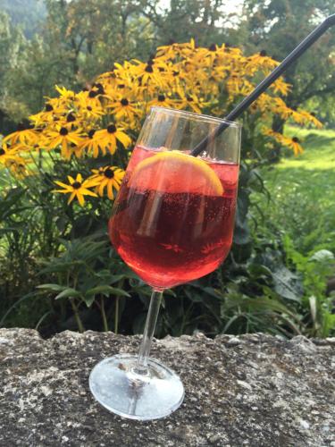 a glass of red wine with an orange in it at Harmonie Stüberl in Ottnang am Hausruck