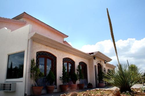 La EncantadaにあるHotel el Pazo de Daroの鉢植えの家