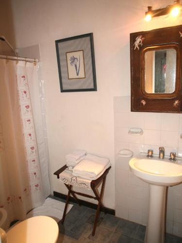 a bathroom with a sink and a toilet and a mirror at Rancho La Peregrina in Nono