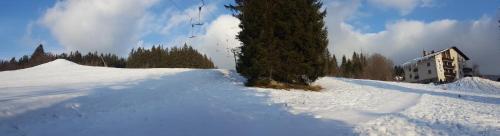 a pile of snow next to a house and a tree at Penzion Diana in Železná Ruda
