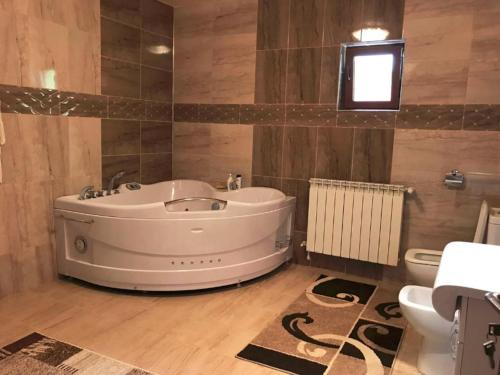 a large bathroom with a tub and a toilet at Vila Maria in Petrila