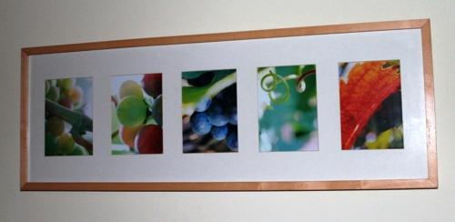 a framed picture of fruit on a wall at Ferienhof Weingut Lunzer in Gols