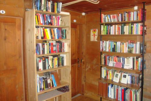 two book shelves filled with books in a room at Bietschhorn in Kippel