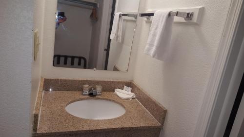 a bathroom with a sink and a mirror at Red Carpet Inn in Gibbstown