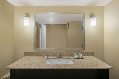 baño con lavabo y espejo grande en Wyndham Garden Texarkana, en Texarkana