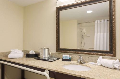 a bathroom with a sink and a mirror at Wyndham Garden Grand Rapids Airport in Grand Rapids