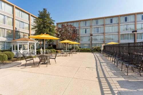a row of chairs and umbrellas in front of a building at Wyndham Garden Greensboro in Greensboro