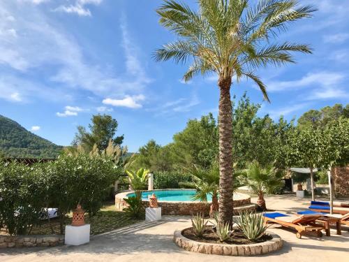 a resort with a palm tree and a swimming pool at Villa Sa Paissa in Cala Vadella