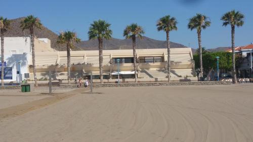 サン・ホセにあるApartamento SOLYMAR 3の浜辺のヤシの木が立ち並ぶ建物