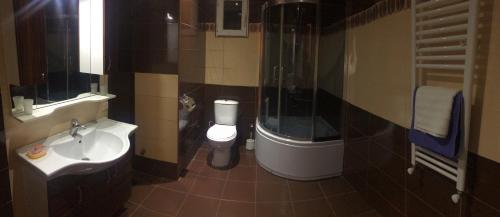 a bathroom with a sink and a shower and a toilet at Bachos Apartment in Tbilisi City