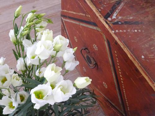 Fotografie z fotogalerie ubytování Artizan Liston Suites v destinaci Korfu