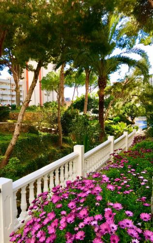 Gran Park Benidorm