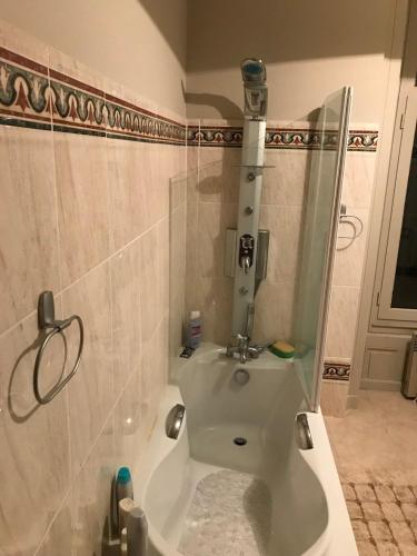 La salle de bains est pourvue d'une douche et d'un lavabo. dans l'établissement Château de Rys, à Bossay-sur-Claise