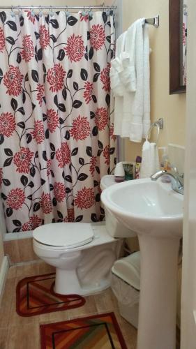Amazon Villas photo 3