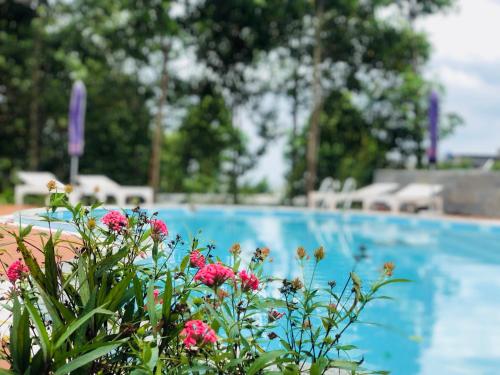 eine Pflanze mit rosa Blumen vor einem Pool in der Unterkunft Đồi Sao Phú Quốc in Phu Quoc