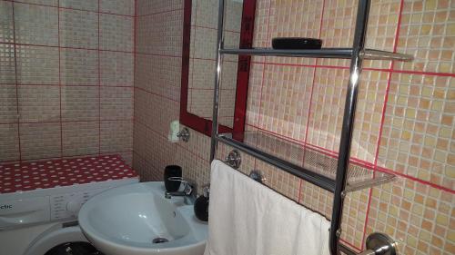 een kleine badkamer met een wastafel en een toilet bij Apartament Maria in Floreşti