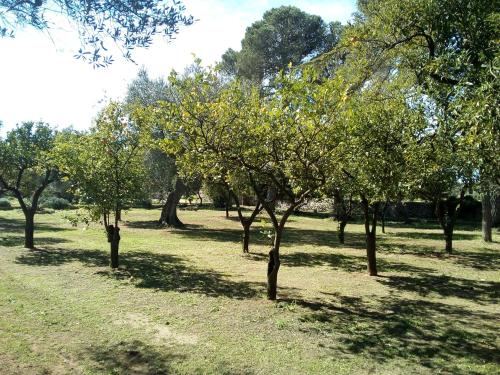 Κήπος έξω από το Agriturismo Villa Coluccia