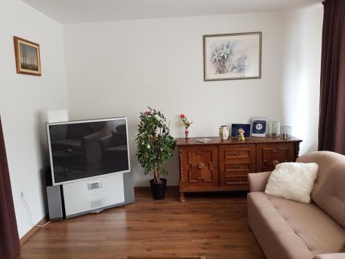 Mimi Apartment tesisinde bir televizyon ve/veya eğlence merkezi