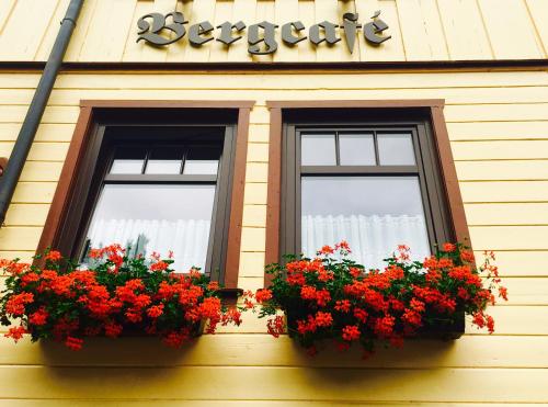two windows with red flowers in them on a building at Bergcafé Mendorf in Treseburg