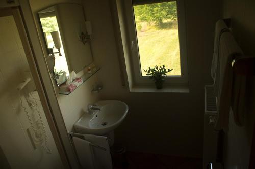 Altdorf的住宿－Gästehaus Vinetum，一间带水槽和窗户的小浴室