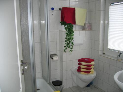 ノルダーナイにあるStrandfliederのバスルーム(トイレ、シャワー、タオル付)