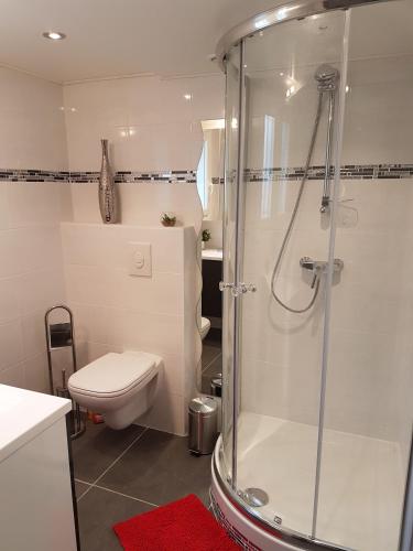 une salle de bain blanche avec douche et toilettes dans l'établissement Mikado, à La Gaude