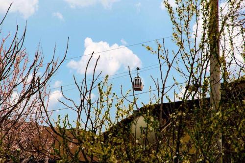 a trolley car on a wire in the sky at Feel Old Tbilisi in Tbilisi City