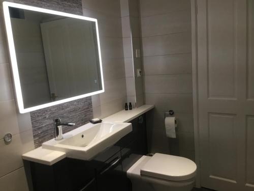 a bathroom with a sink and a toilet and a mirror at Bickfield Annexe in Ubley