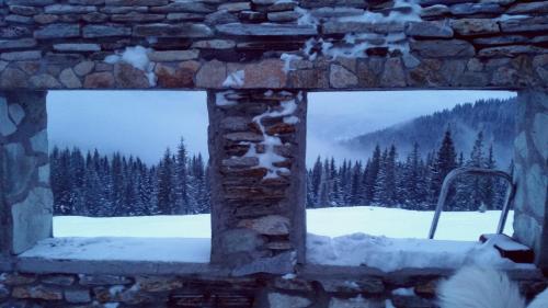 a window with a view of a snow covered forest at Piatra Rancii in Ranca