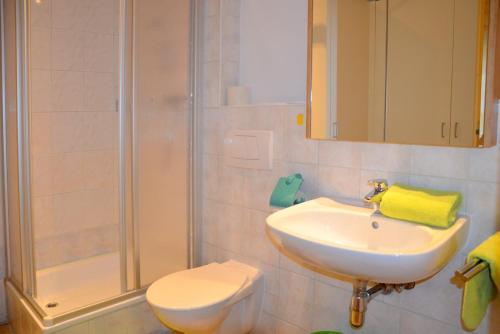 a bathroom with a sink and a shower and a toilet at Rauwieslhof in Walchsee