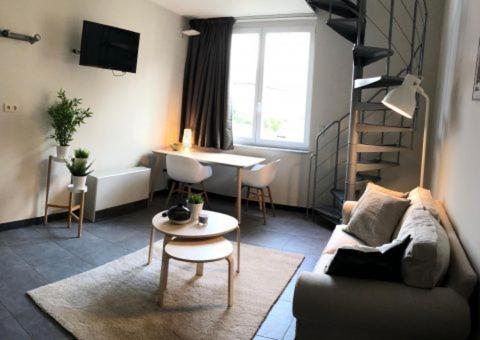 ein Wohnzimmer mit einem Sofa und einem Tisch in der Unterkunft Apartments Business Flats Brussels Airport in Zaventem
