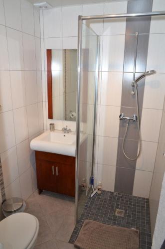une salle de bain avec une douche, un lavabo et des toilettes dans l'établissement Chambres d'Hôtes Arnold, à Dambach-la-Ville