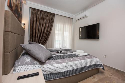Artemis Luxury Apartment