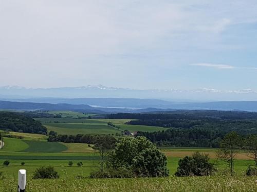 a view of a green field with mountains in the distance at Berg Gasthof Witthoh in Immendingen