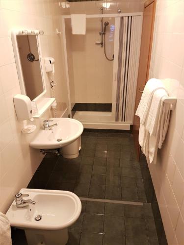 a bathroom with a sink and a toilet and a shower at Hotel del Lago Ampollino in Torre Caprara