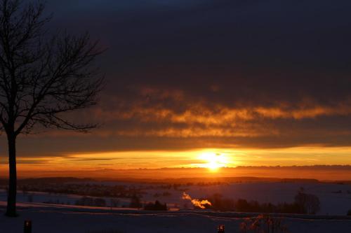 a sunset in the snow with a tree in the foreground at Berg Gasthof Witthoh in Immendingen