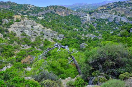 Φυσικό τοπίο κοντά σε αυτή η παραθεριστική κατοικία