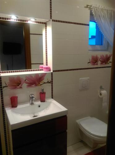 a bathroom with a sink and a toilet and a mirror at Pokoje u Jolanty in Władysławowo
