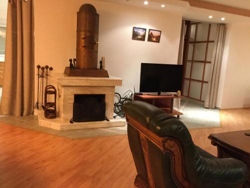 ein Wohnzimmer mit Kamin und Couch in der Unterkunft Justyna in Pardubice