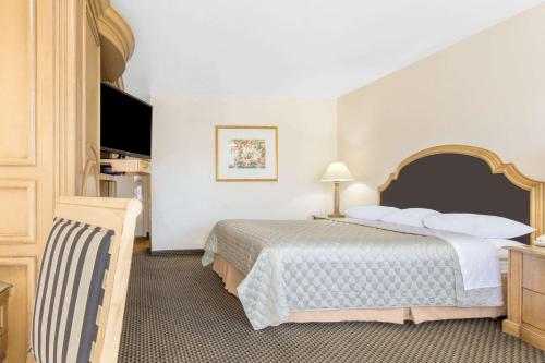une chambre d'hôtel avec un lit et une télévision dans l'établissement Days Inn by Wyndham Modesto, à Modesto