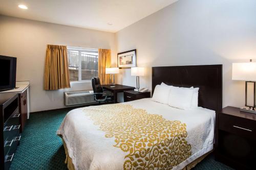 Days Inn by Wyndham Seattle Aurora في شورلاين: غرفه فندقيه سرير وتلفزيون