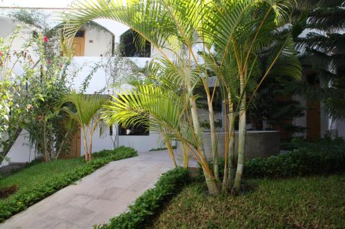 a group of palm trees in front of a building at Hotel Villa Jazmin in Ica