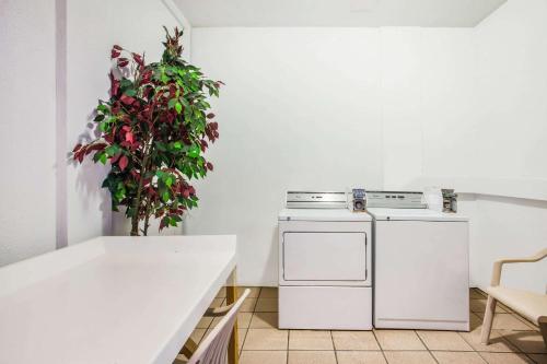 Una cocina o cocineta en Arya Blu Inn and Suites