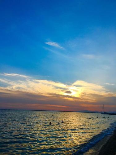 a group of ducks swimming in the ocean at sunset at Corali in Menídion