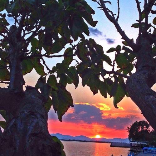 a sunset over a body of water with a tree at Corali in Menídion