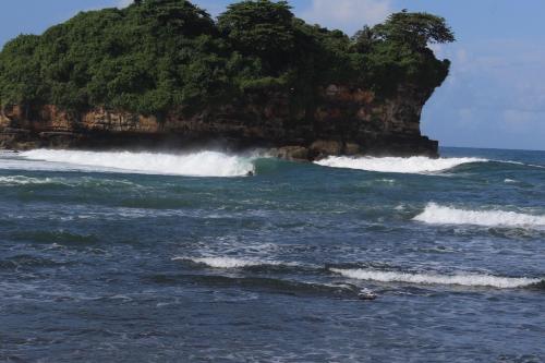 a person riding a wave on a surfboard in the ocean at Harry's Ocean House Watukarung Homestay in Kalak
