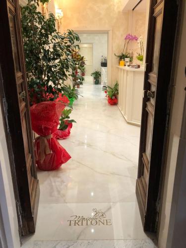 Maison Tritone photo 90