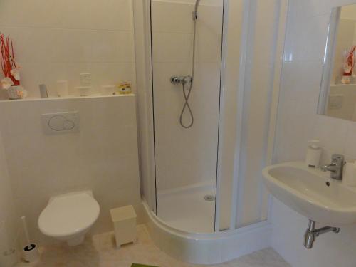 a bathroom with a shower and a toilet and a sink at Penzion U Hradeb in Znojmo