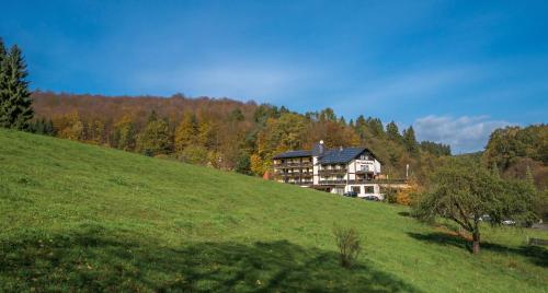 a large house on top of a grassy hill at Hotel Gassbachtal in Grasellenbach